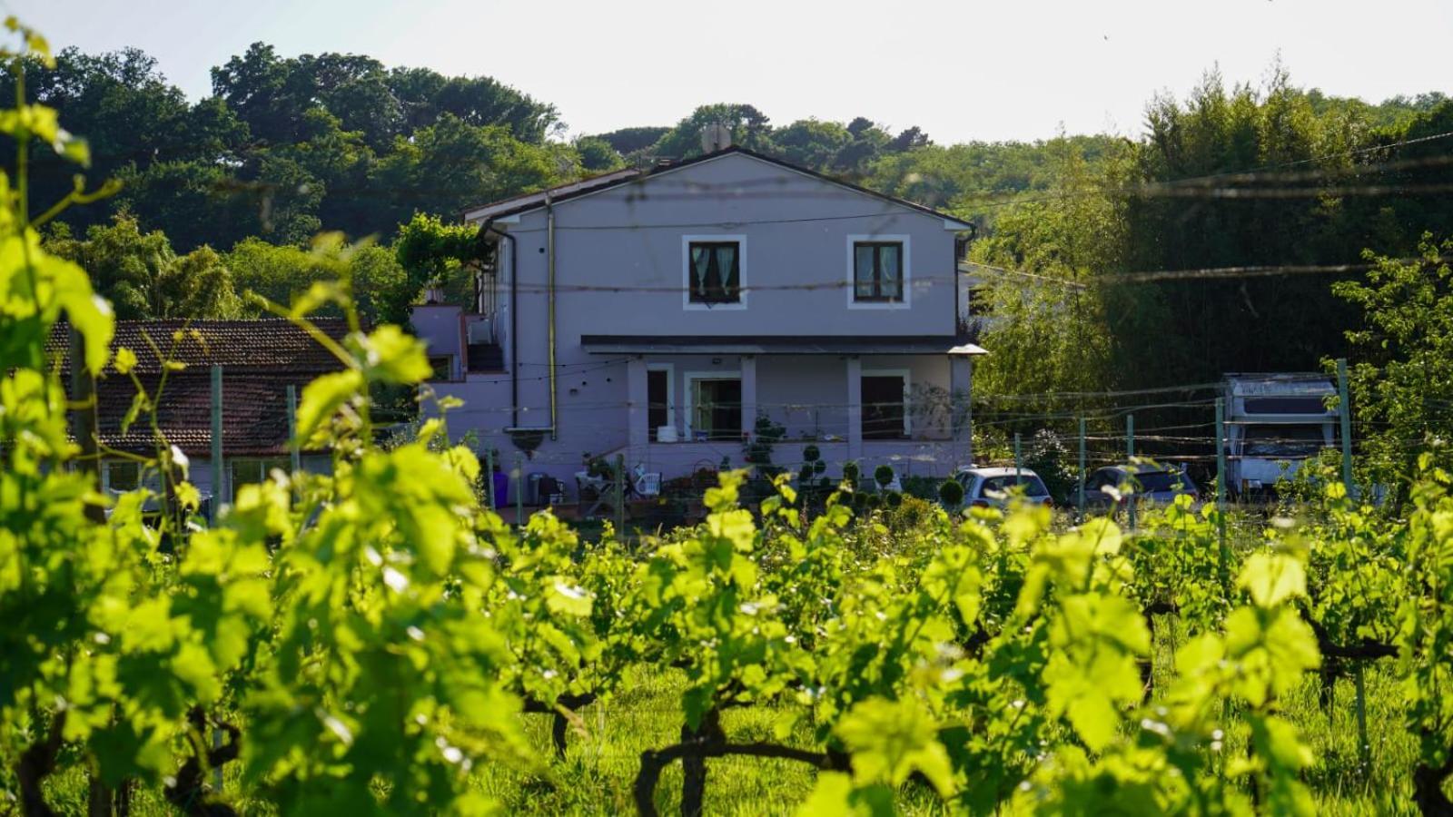 Bed and Breakfast Wine House Capannori Exteriér fotografie