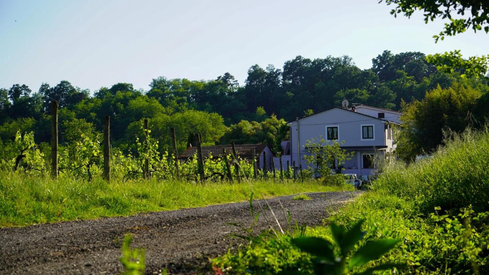 Bed and Breakfast Wine House Capannori Exteriér fotografie