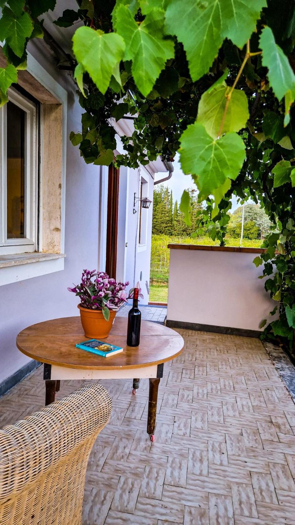 Bed and Breakfast Wine House Capannori Exteriér fotografie
