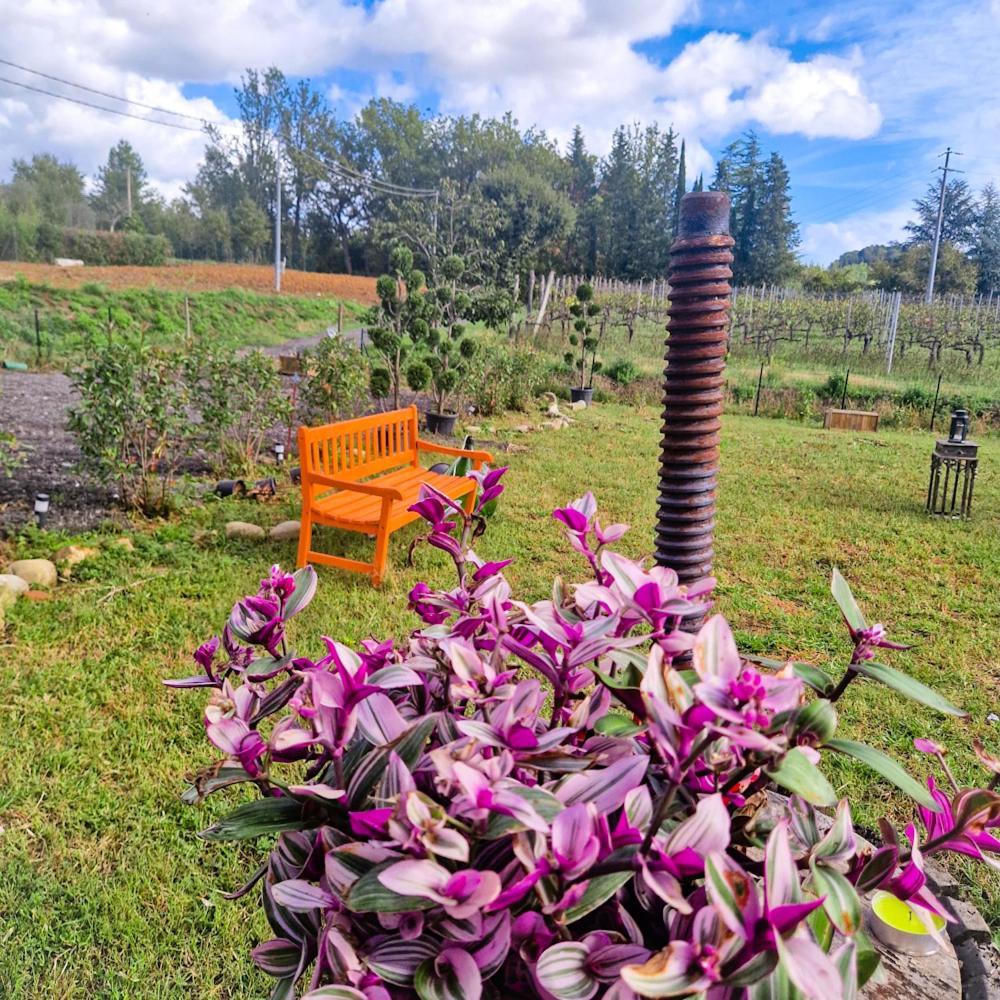 Bed and Breakfast Wine House Capannori Exteriér fotografie