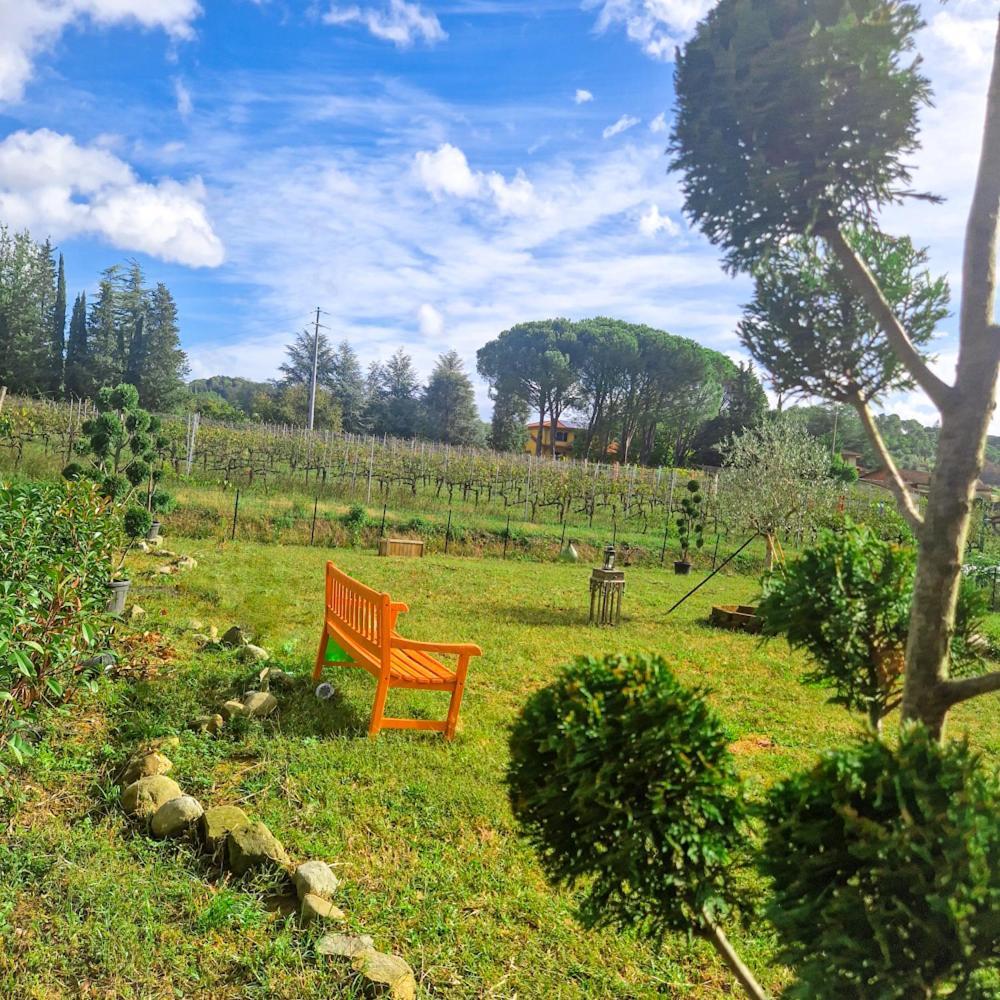 Bed and Breakfast Wine House Capannori Exteriér fotografie
