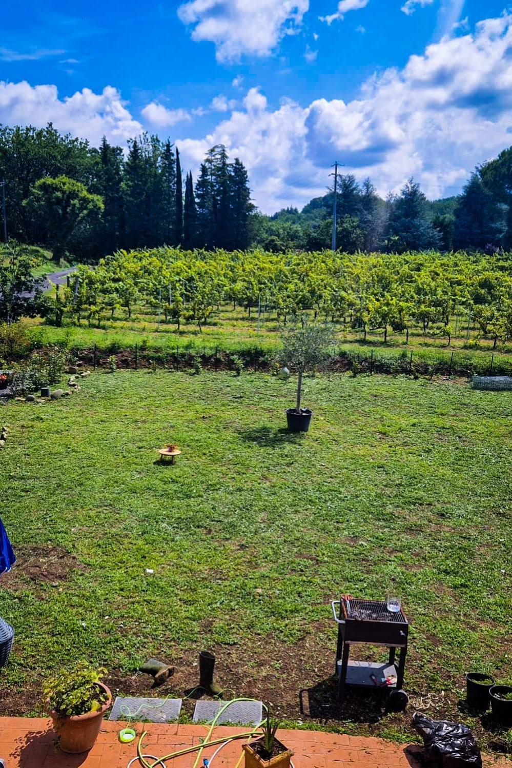 Bed and Breakfast Wine House Capannori Exteriér fotografie