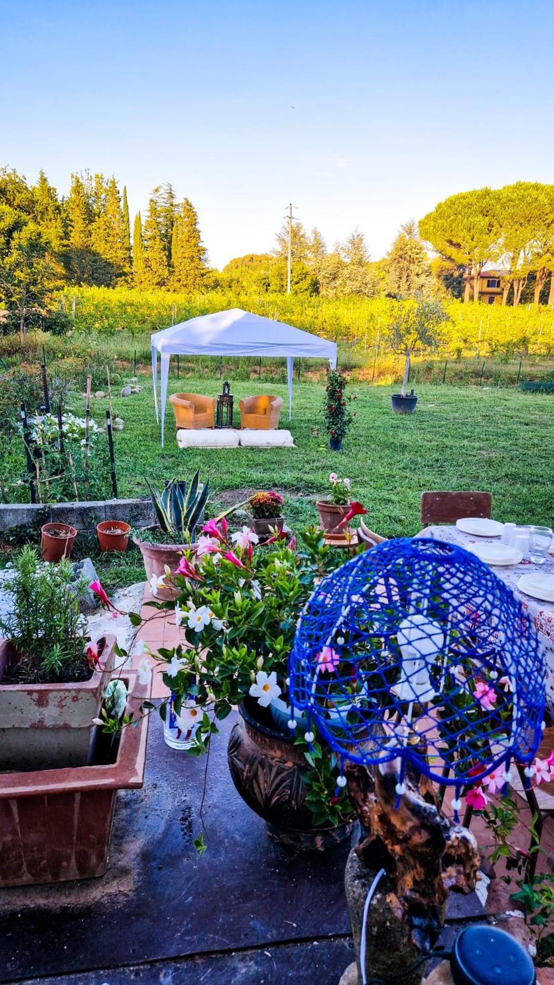 Bed and Breakfast Wine House Capannori Exteriér fotografie