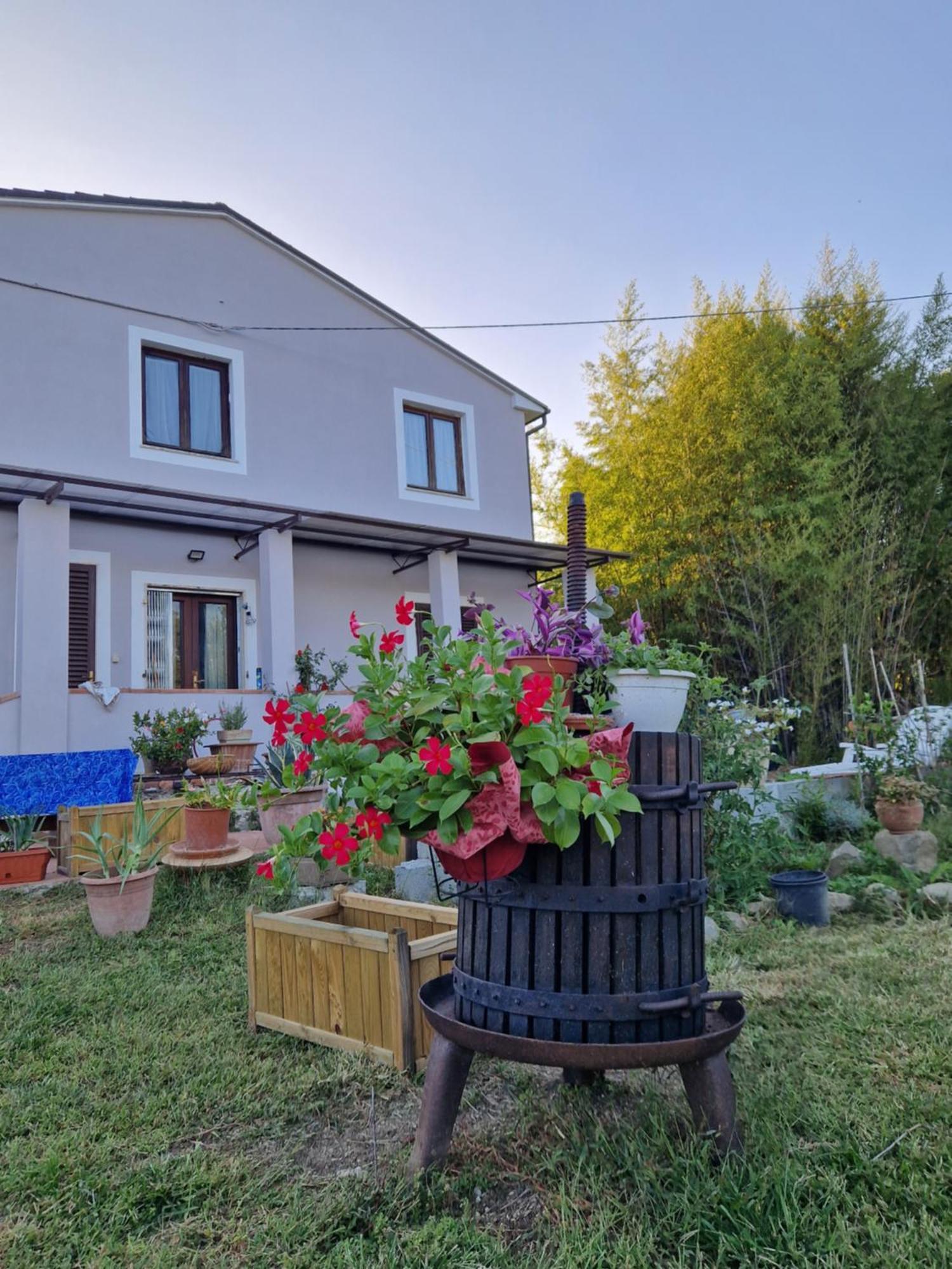 Bed and Breakfast Wine House Capannori Exteriér fotografie